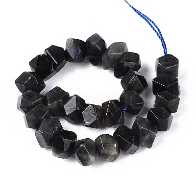 Natural Larvikite Beads Strands G-N327-05-28-1