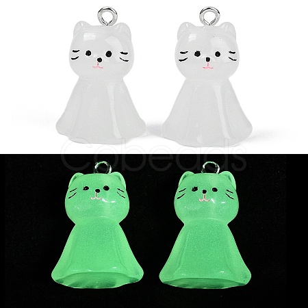 Luminous Resin Pendants X-RESI-R460-01A-1