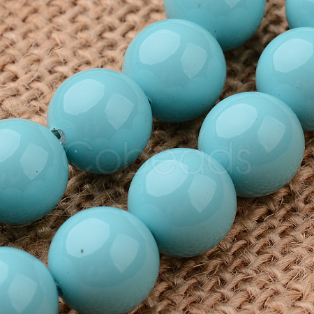 Polished Round Grade A Shell Pearl Bead Strands BSHE-M027-6mm-17-1