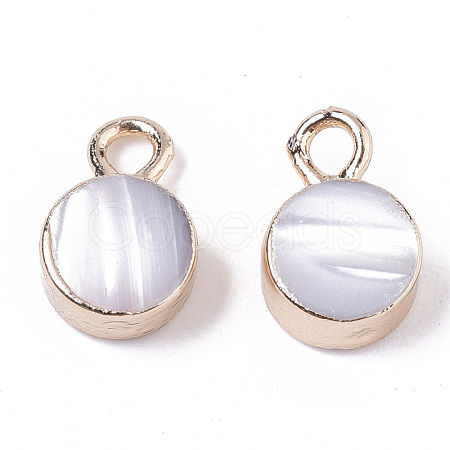 Natural Freshwater Shell Charms SHEL-N026-15-1