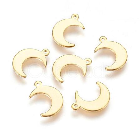 304 Stainless Steel Charms X-STAS-H557-31G-1