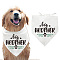 Cotton Dog's Kerchief, Triangle Pet's Bandana, Brother Theme, Word, 380x780mm