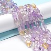 Natural Ametrine Beads Strands G-I351-A11-2