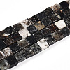 Natural Biotite Beads Strands G-N346-05A-01-2