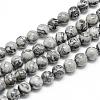 Natural Map Stone/Picasso Stone/Picasso Jasper Beads Strands G-T053-8mm-04-1
