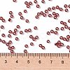 MIYUKI Round Rocailles Beads X-SEED-G008-RR0010-4