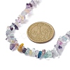 Natural Fluorite Chip Beaded Necklace NJEW-JN04615-11-3