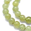 Natural Green Garnet Beads Strands G-K310-C17-8mm-3