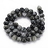 Natural Hawk's Eye Beads Strands G-S333-8mm-034-2