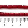 Synthetic Turquoise Beads Strands X-TURQ-G120-4x6mm-07-3