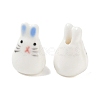 Handmade Porcelain Beads PR-CBA069E-02-2