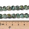 Natural African Turquoise(Jasper) Beads Strands G-D316-B09-4