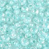 FGB Inside Colours Transparent Glass Seed Beads SEED-T009-01C-2