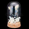 Glass Dome Cover AJEW-PH0004-19C-1