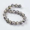 Natural Dalmation Jasper Beads Strands G-G515-10mm-06-2