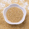 MIYUKI Delica Beads SEED-X0054-DB0099-2