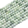 Natural Myanmar Jade/Burmese Jade Beads Strands G-D0001-08-4mm-1