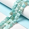 Natural Amazonite Beads Strands G-G980-07-2