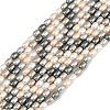 Electroplated Shell Pearl Beads Strands BSHE-H113-06A-03-1