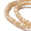 Natural Trochid Shell/Trochus Shell Beads Strands SSHEL-O001-24B-01-2