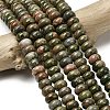 Natural Unakite Beads Strands G-A280-A20-02-1