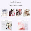 Organza Ribbon RS6mmY092-7