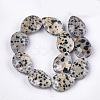 Natural Dalmatian Jasper Beads Strands X-G-S354-05-2