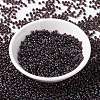 MIYUKI Round Rocailles Beads SEED-G008-RR4502-2
