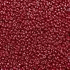 MIYUKI Round Rocailles Beads SEED-G008-RR0426-3