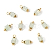 10Pcs Crackle Glass Pendants PALLOY-YW00067-02-1