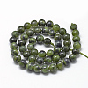 Natural Canadian Jade Beads Strands G-R446-10mm-08-2