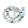 Natural Flower Amazonite Beads Strands G-Z091-A36-2