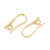 SHEGRACE Brass Earring Hooks XGR0003G-42G-2