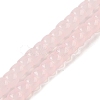 Baking Plating Glass Beads Strands X1-GLAA-H036-01E-1