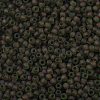 TOHO Round Seed Beads X-SEED-TR11-0250FM-2