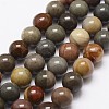 Natural New Ocean Jasper Bead Strands G-G954-01-8mm-3