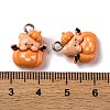 Halloween Theme Opaque Resin Pendants RESI-D075-02E-2