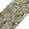 Natural Labradorite Beads Strands G-P322-28-4mm-1