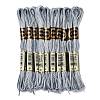 10 Skeins 6-Ply Polyester Embroidery Floss OCOR-K006-A62-1
