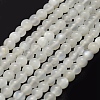 Natural White Moonstone Beads Strands G-P335-04-10mm-1