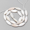 Natural Shell Beads Strands PBB220Y-1-1