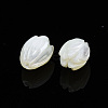 Natural Trochid Shell/Trochus Shell Beads SSHEL-T014-33-3
