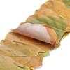 Paper Fallen Leaves Sticker Rolls LS-DIY-C080-01G-2