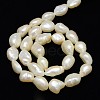 Natural Cultured Freshwater Pearl Beads Strands PEAR-L001-18-3