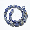 Natural Blue Spot Jasper Beads Strands G-S357-A06-2