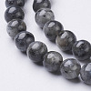 Natural Larvikite Beads Strands X-GSR6mmC128-2