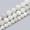 Natural Rainbow Moonstone Beads Strands G-S333-6mm-002-2