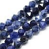 Natural Sodalite Beads Strands G-S149-21-6mm-1