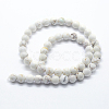 Natural Magnesite Beads Strands G-I199-27-6mm-2