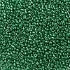12/0 Glass Seed Beads X-SEED-A017-2mm-1114-2